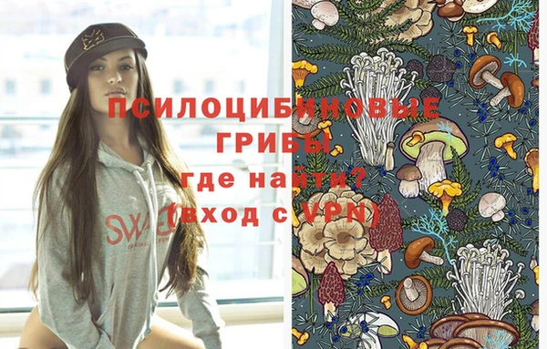 шишки Алексин