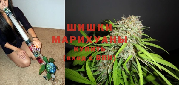 шишки Алексин