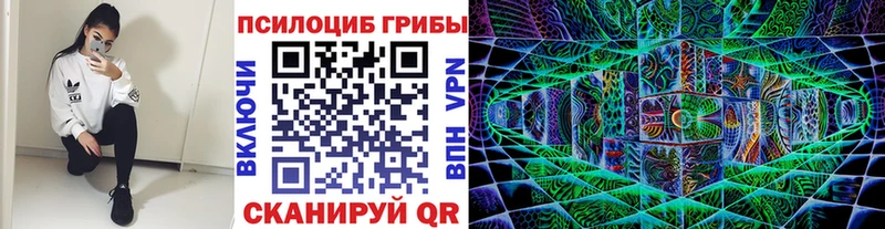 Галлюциногенные грибы Cubensis Богородск